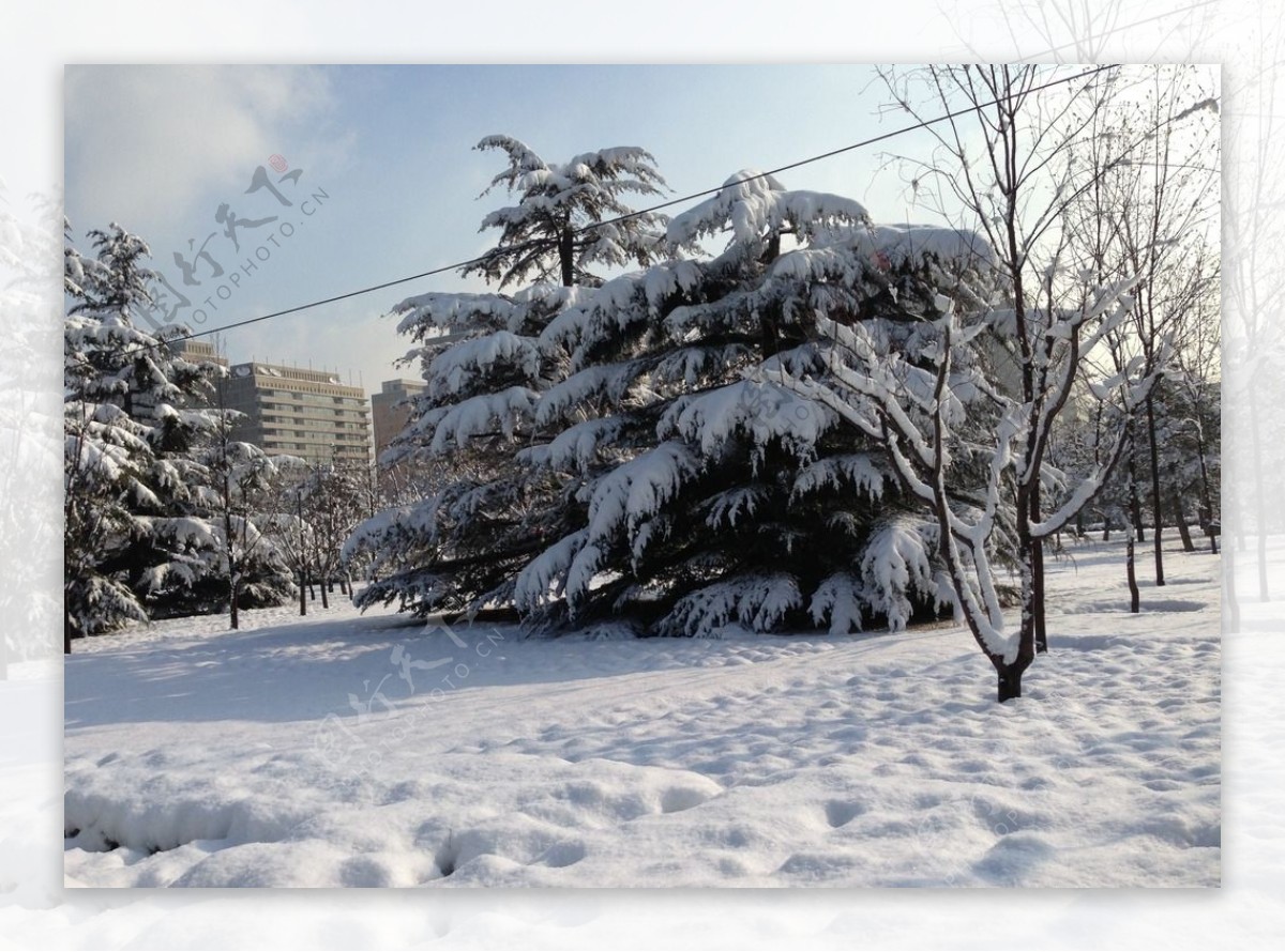 北京雪景图片