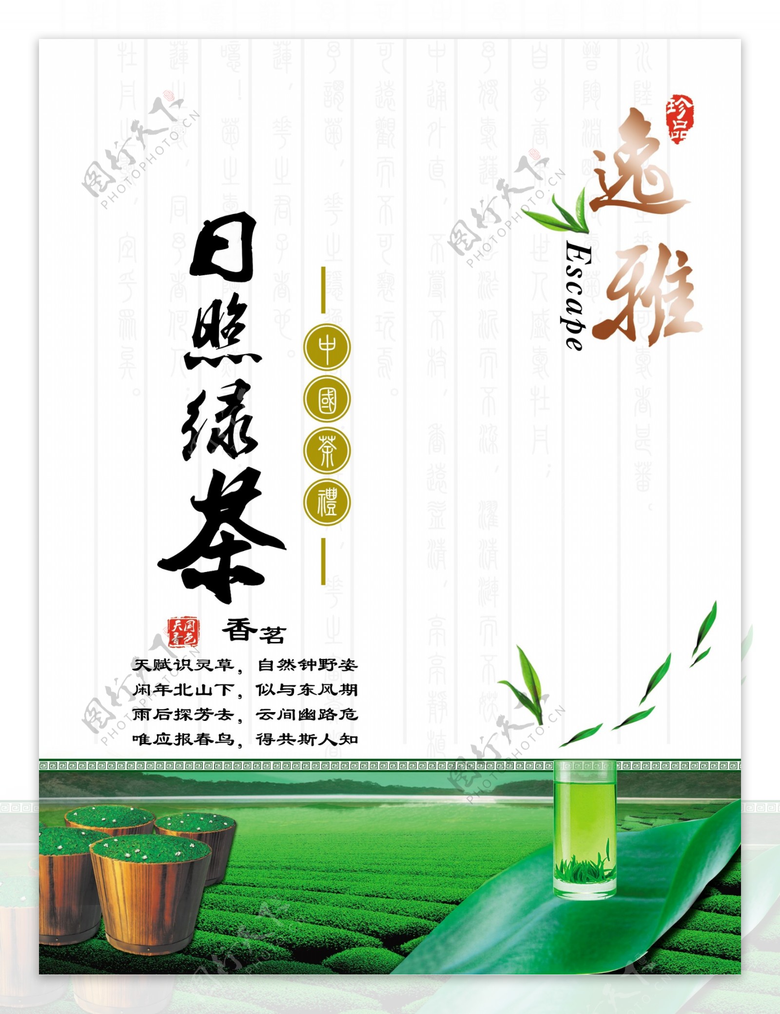中低档绿茶图片
