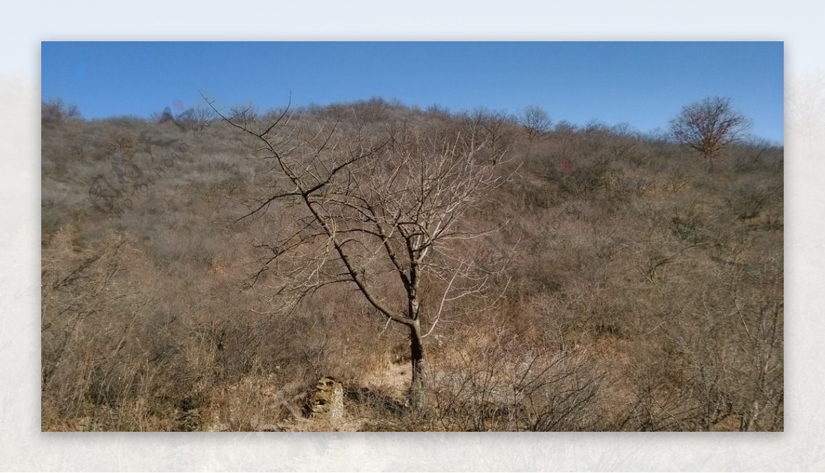 野外景色图片