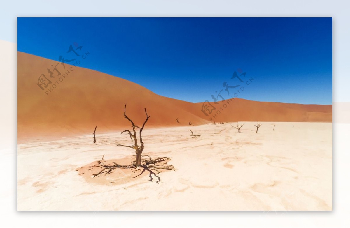 非洲沙漠图片