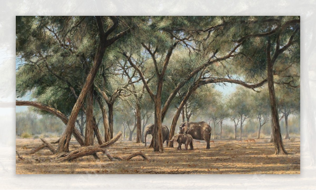大象树林图片