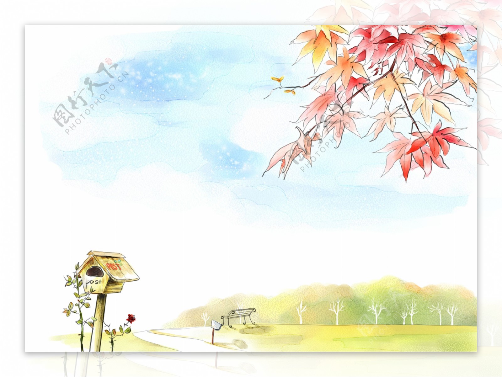 枫叶风景插画图片