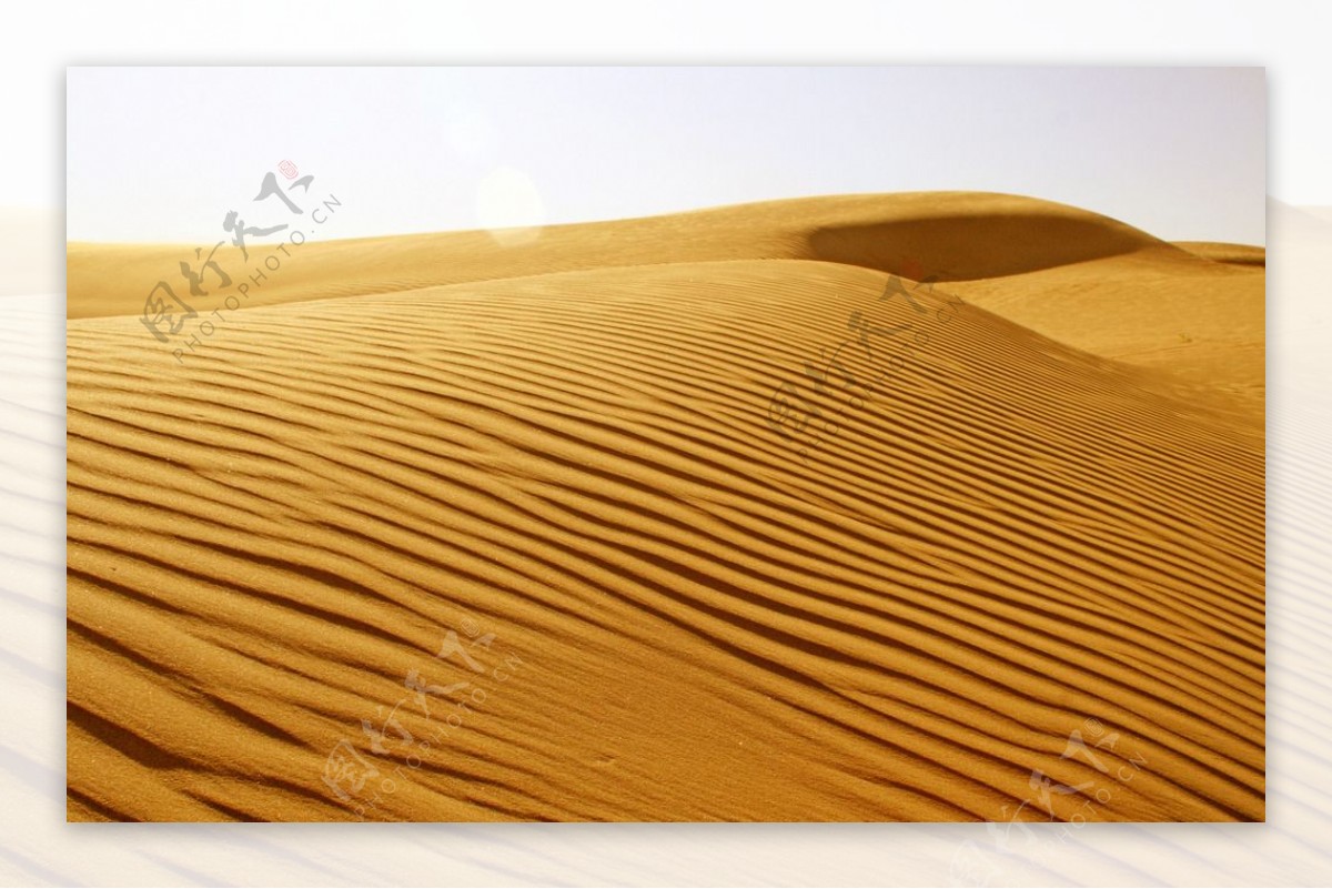 沙漠的波纹图片