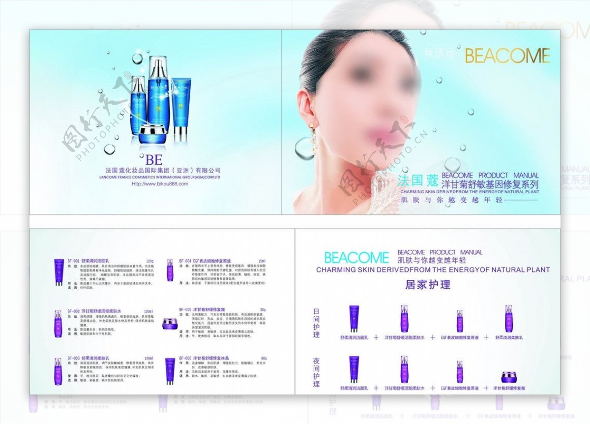 洋甘菊舒敏基因修复系列折页图片