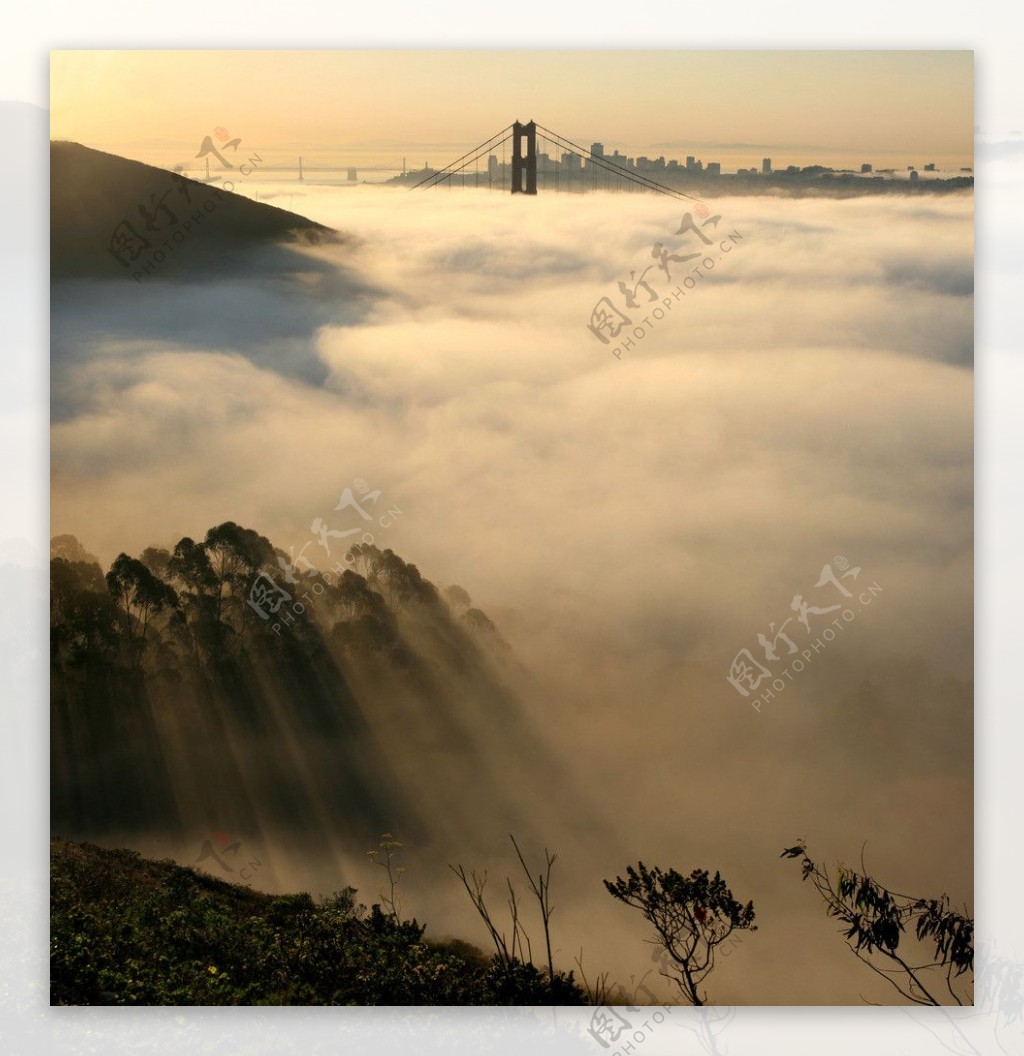 旧金山的雾图片