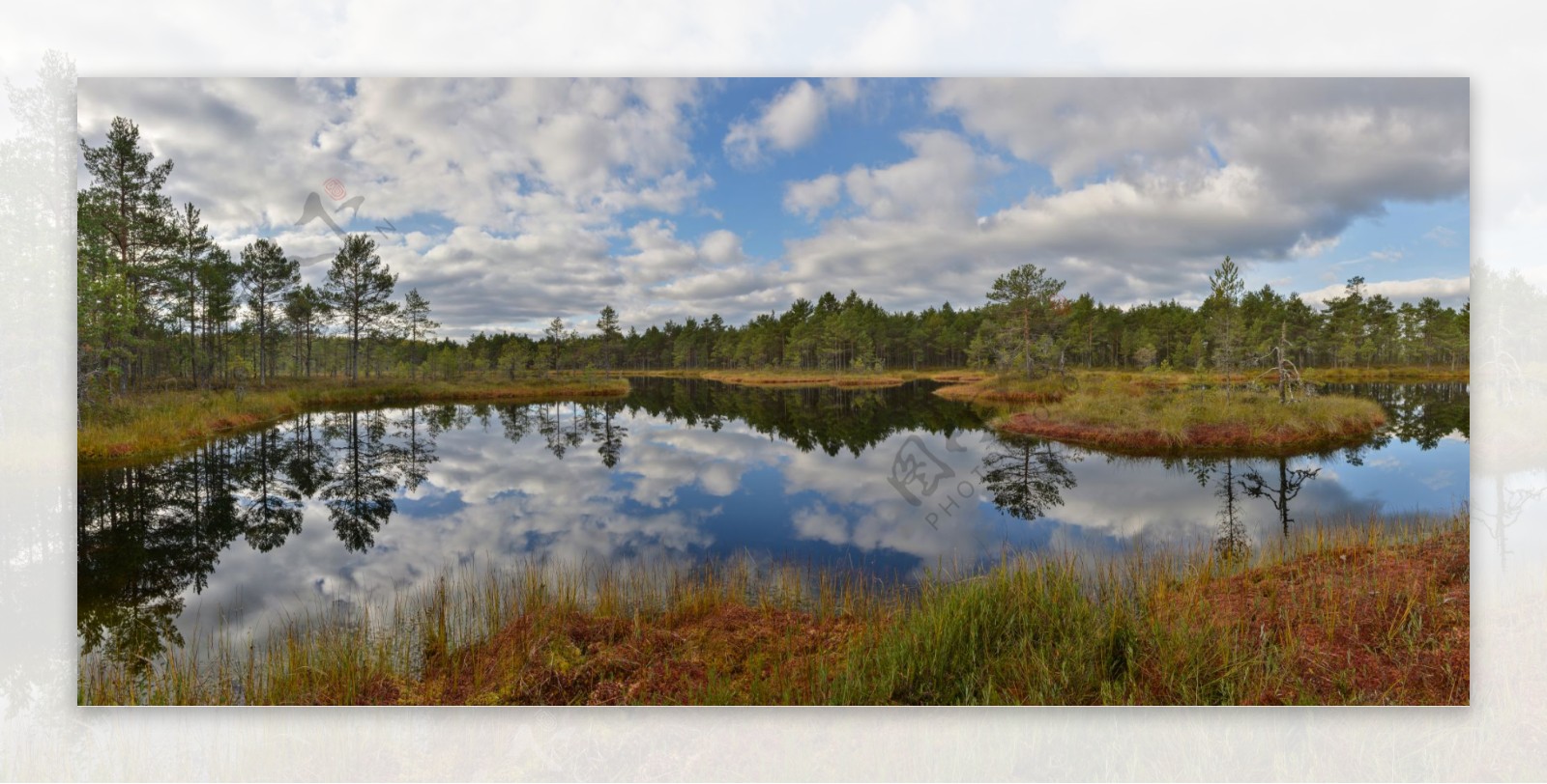 爱沙尼亚哈尔尤县克韦马自然保护区图片