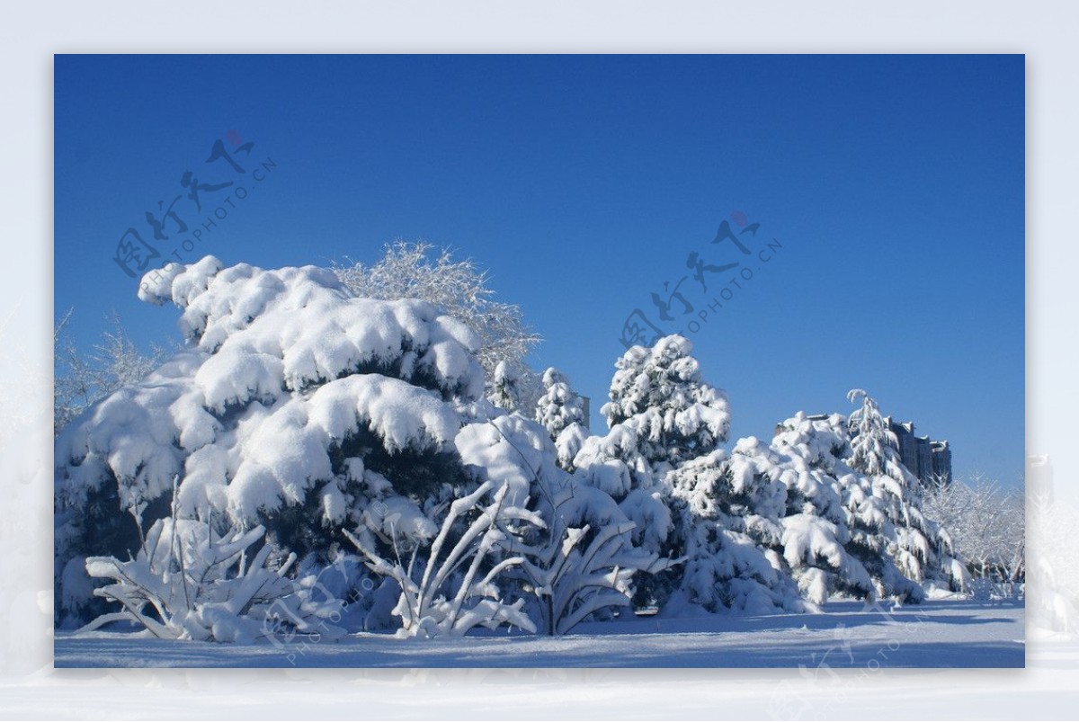 雪后景观图片