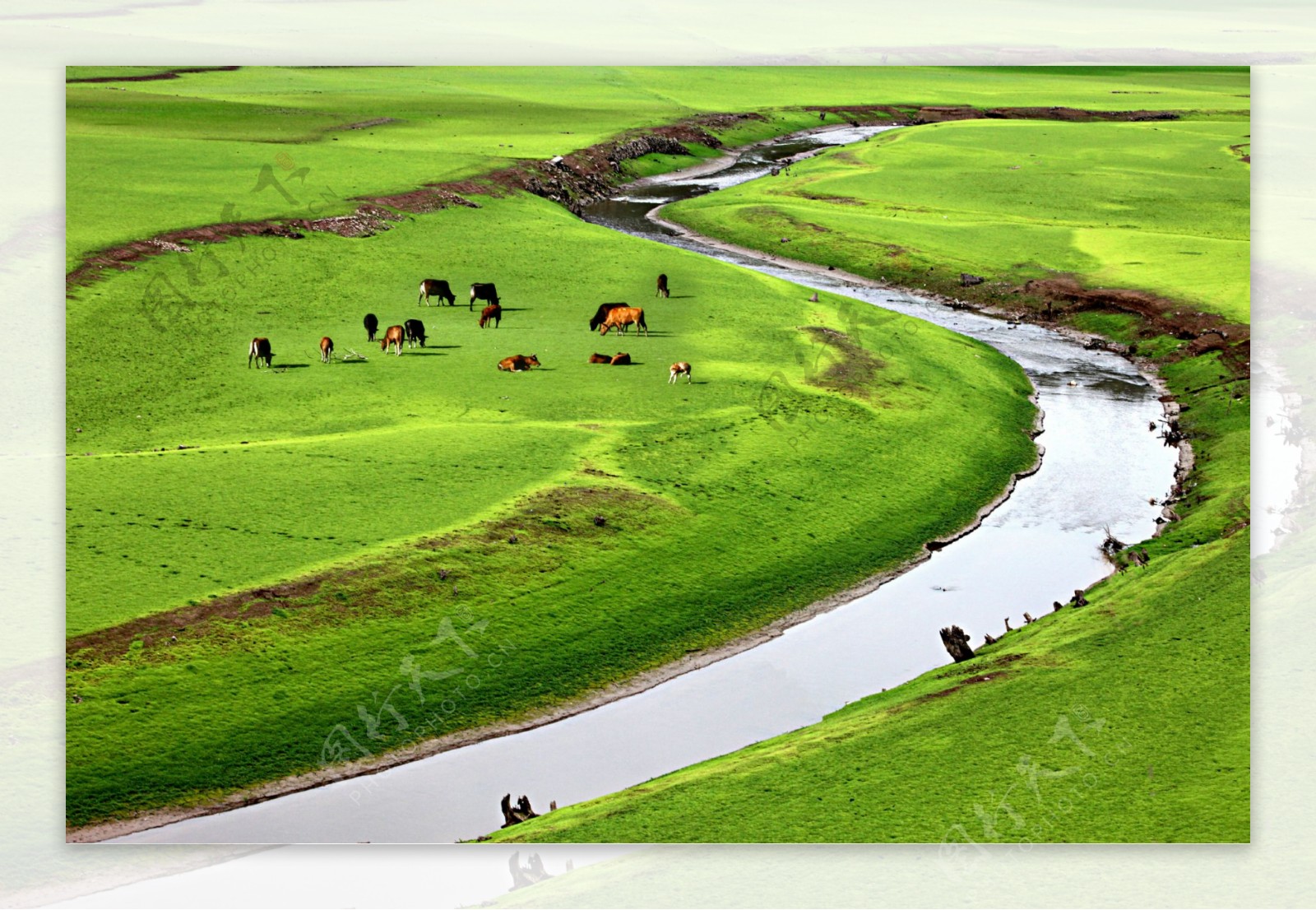 河流草原图片