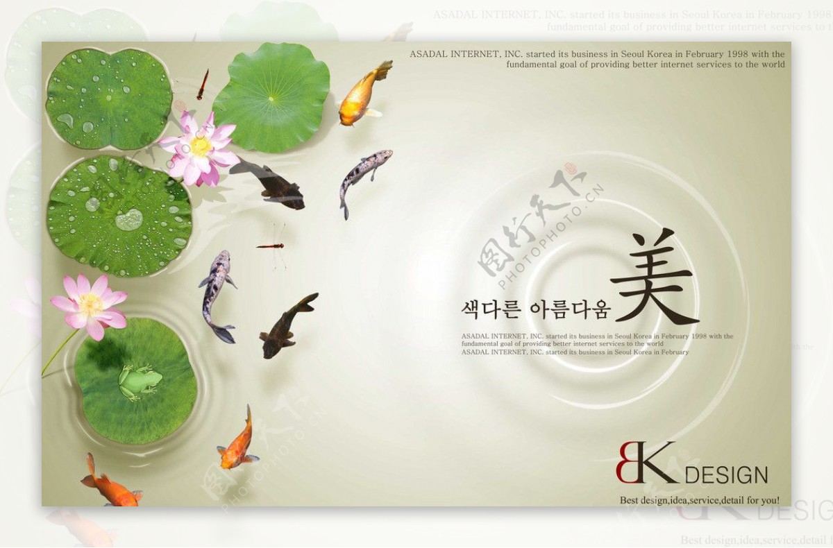 韩式唯美海报设计图片