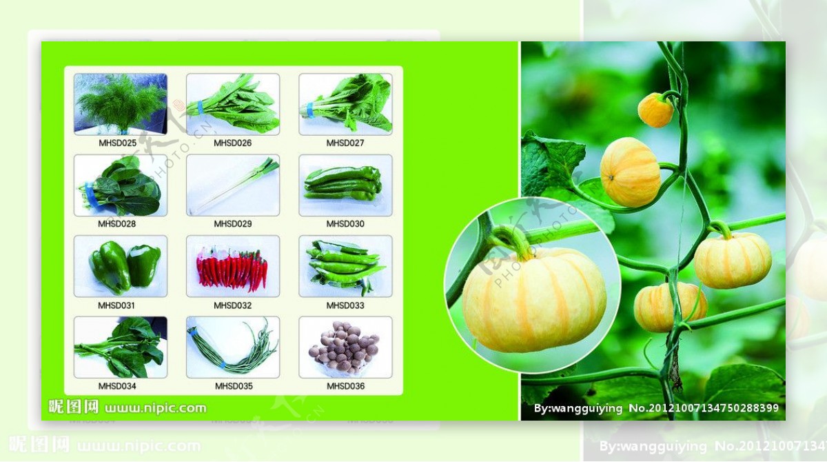 有机蔬菜会员使用手册图片