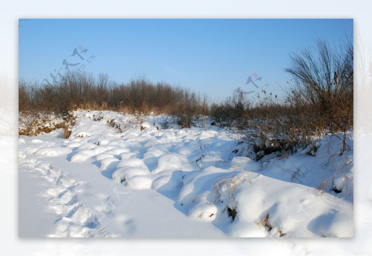 根河南河套冬天雪景图片