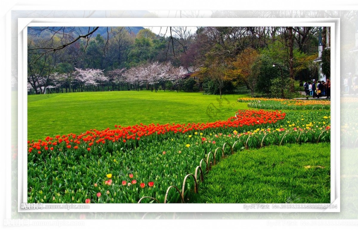 公园小景鲜花图片