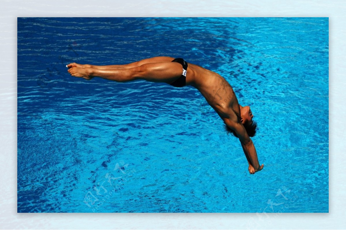 男跳水运动员图片