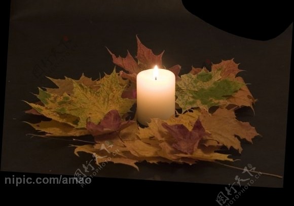 白色蜡烛和枫叶图片