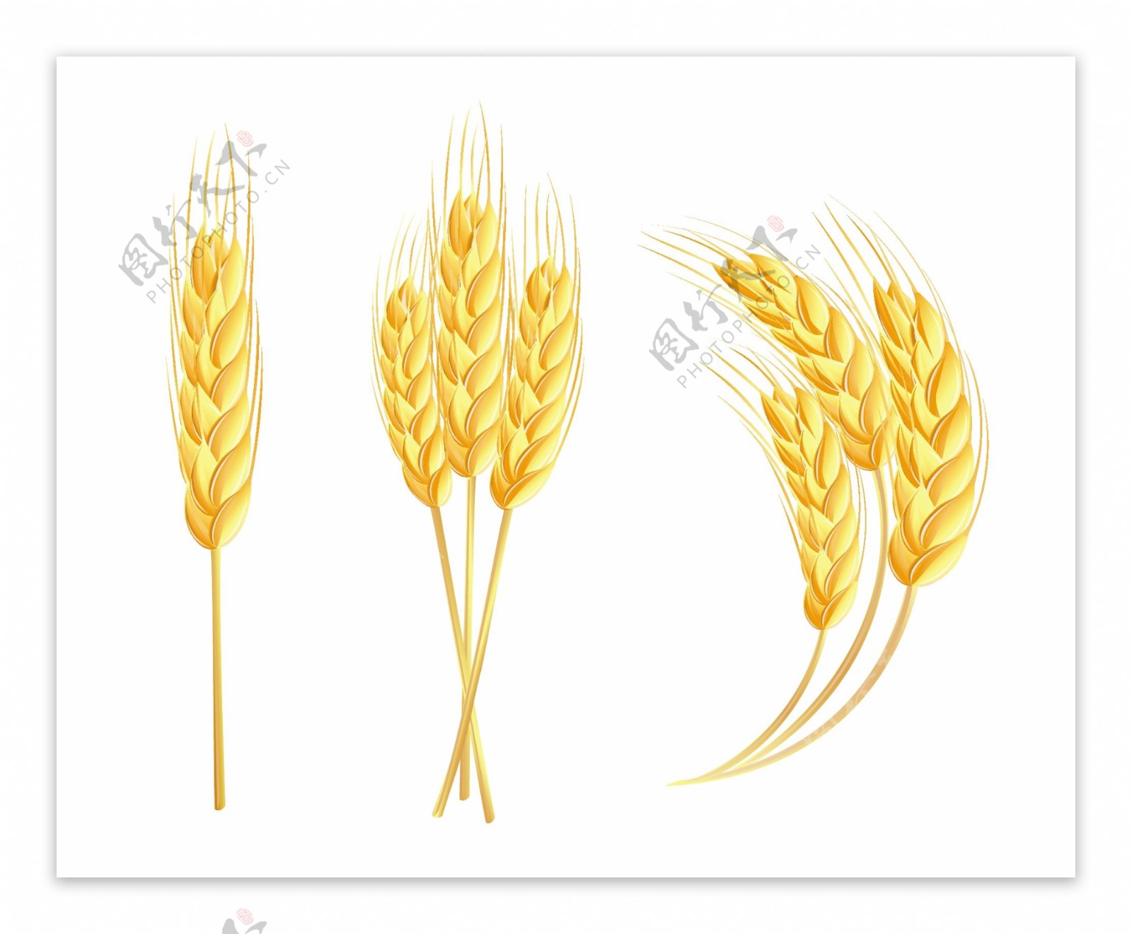 小麦ICON图标标志图片