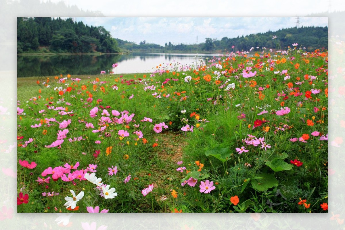 白马湖风景图片