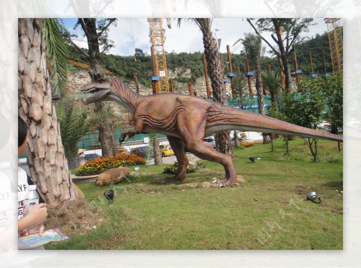 恐龙模型图片