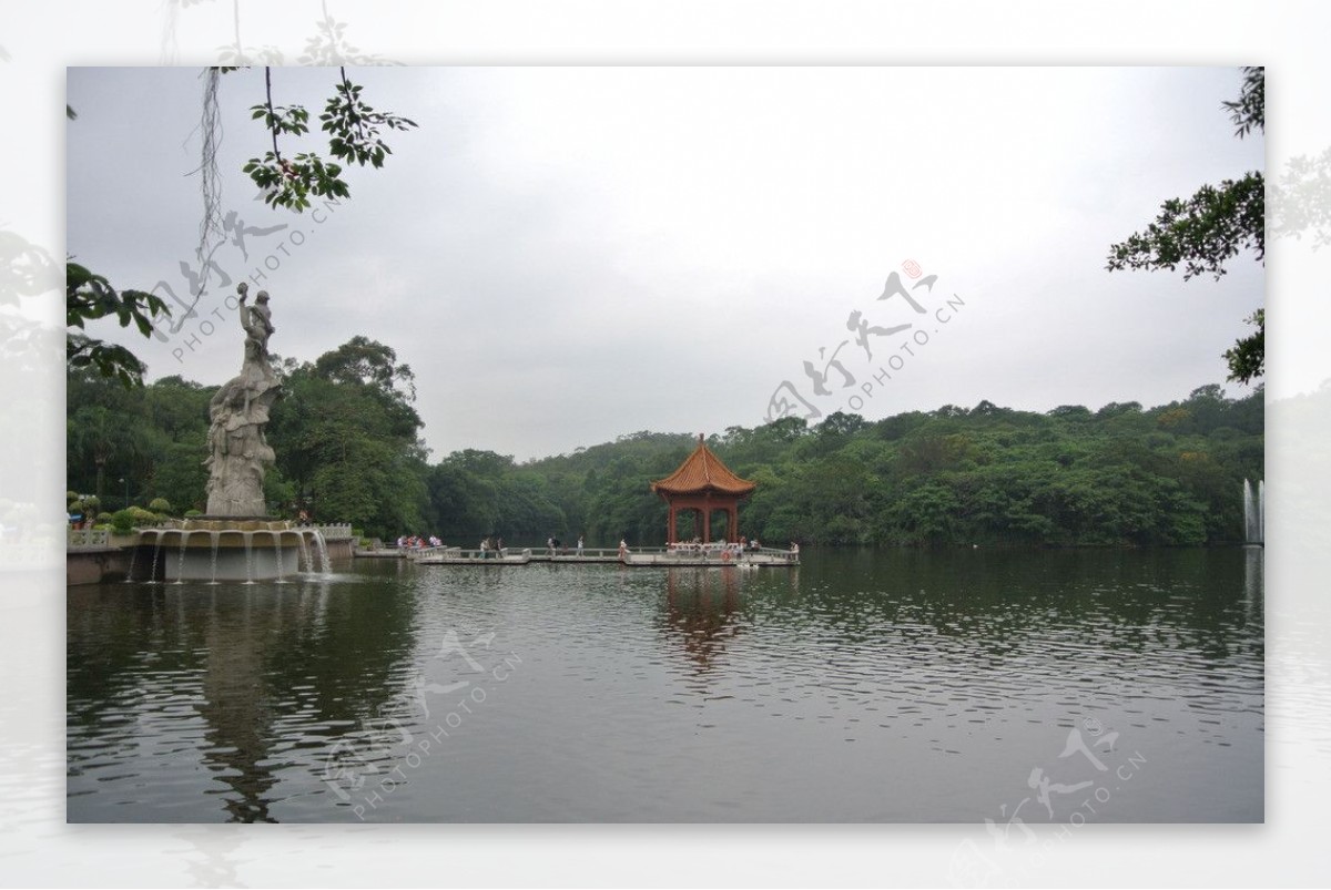莲花湖图片