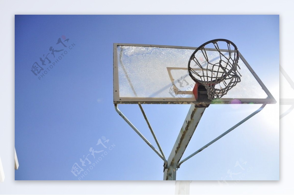 阳光下的篮球架图片
