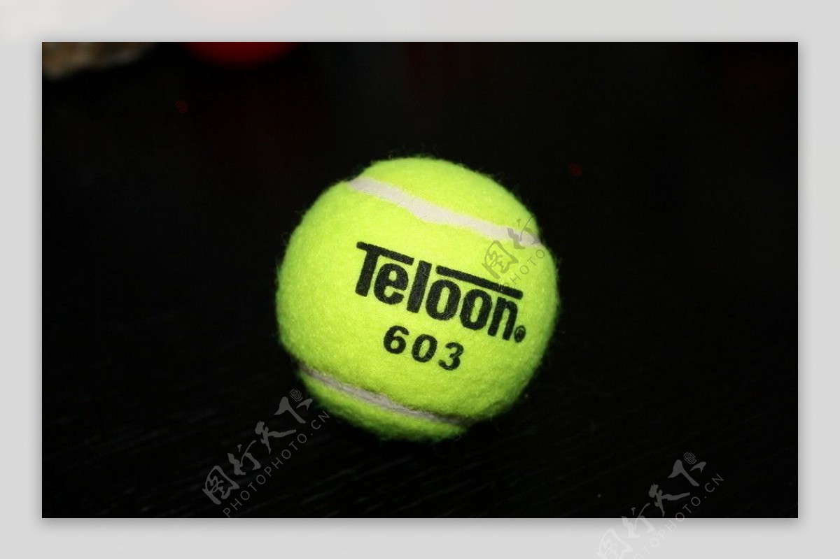 Teloon天龙网球603图片