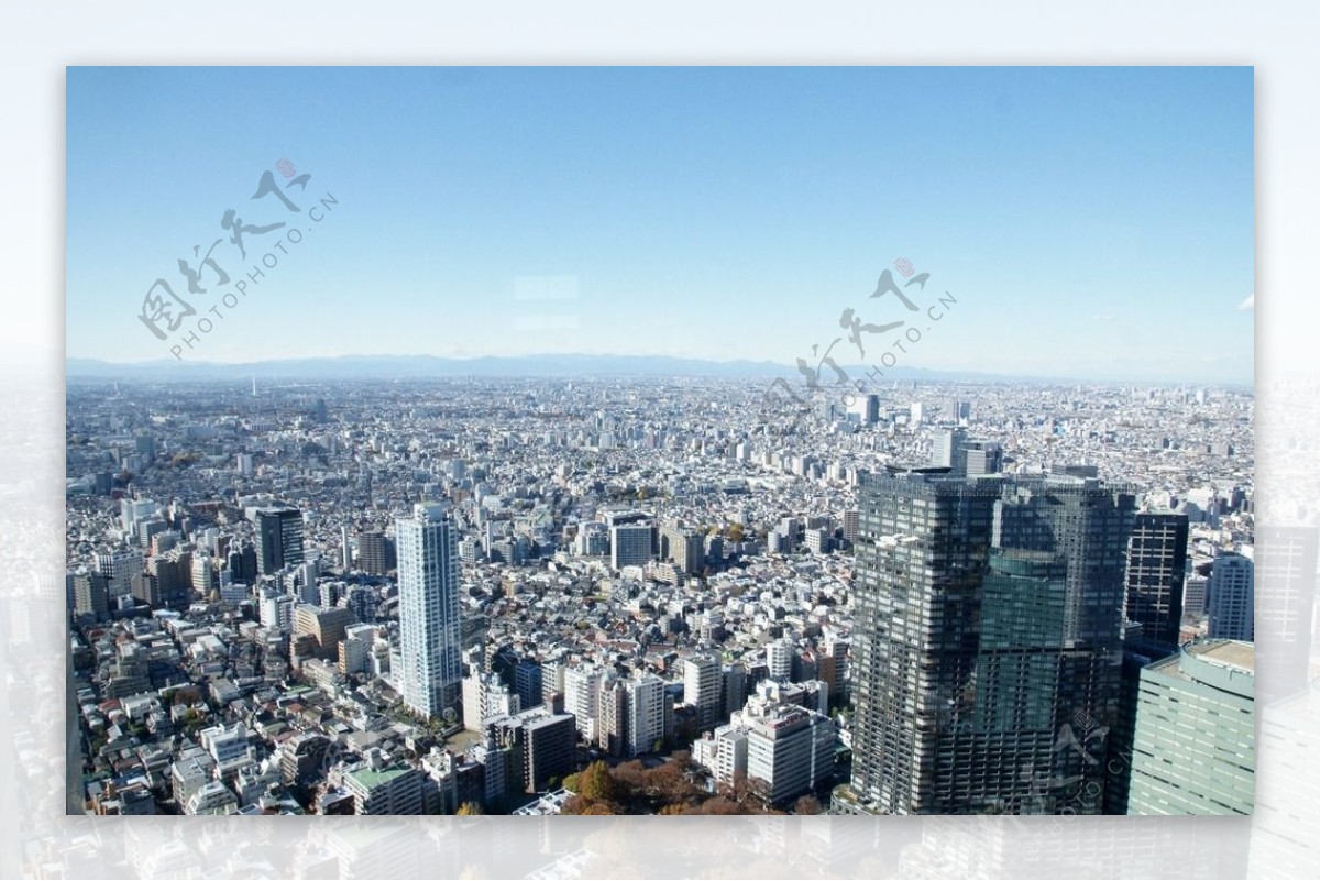 东京都厅展望台图片