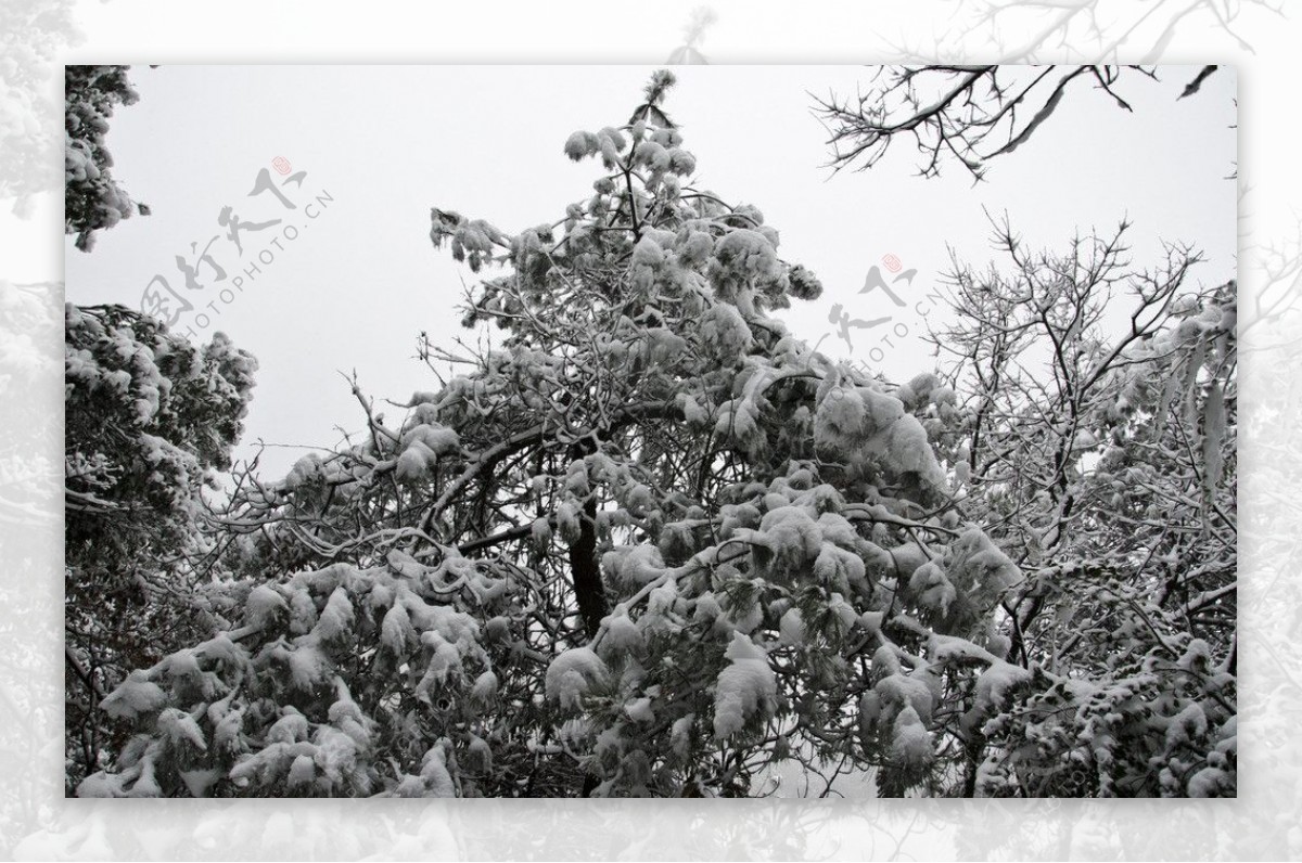 雪景图片