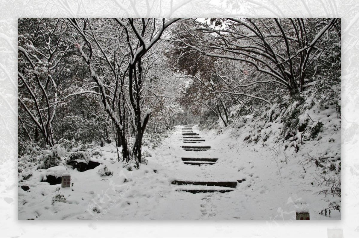 雪景图片