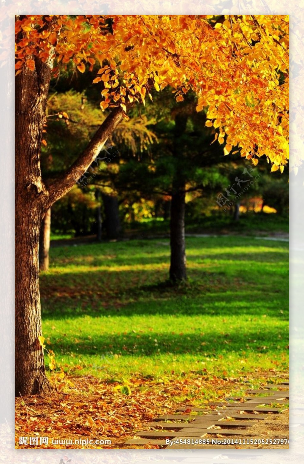 奥林匹克公园秋景图片