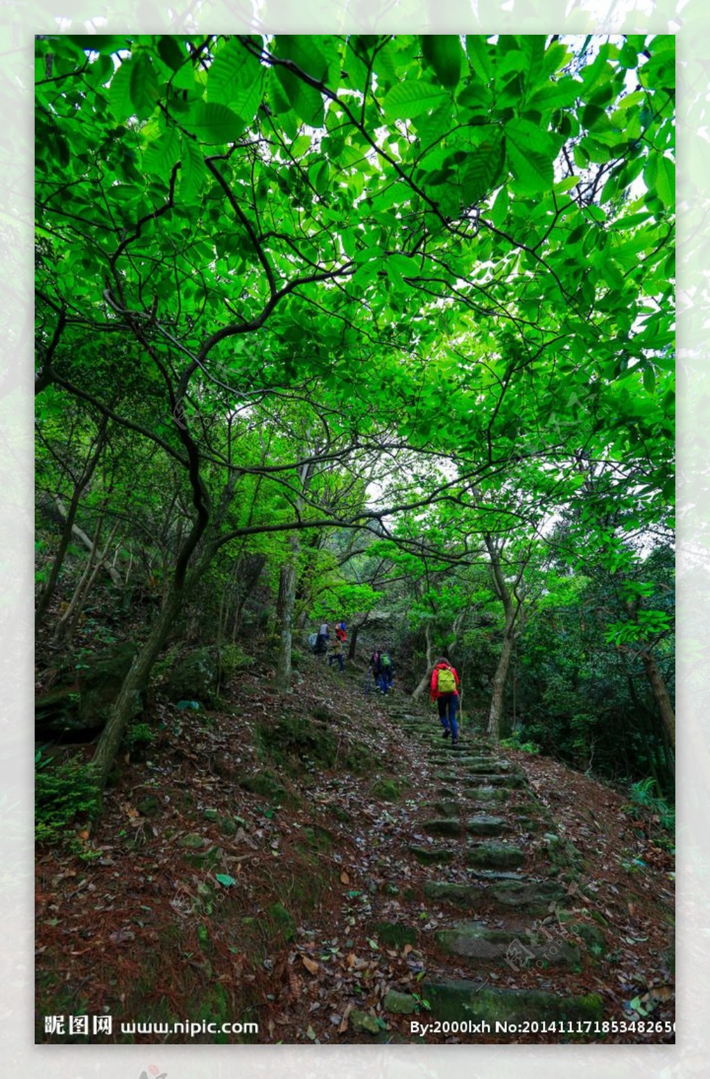 雁荡山图片