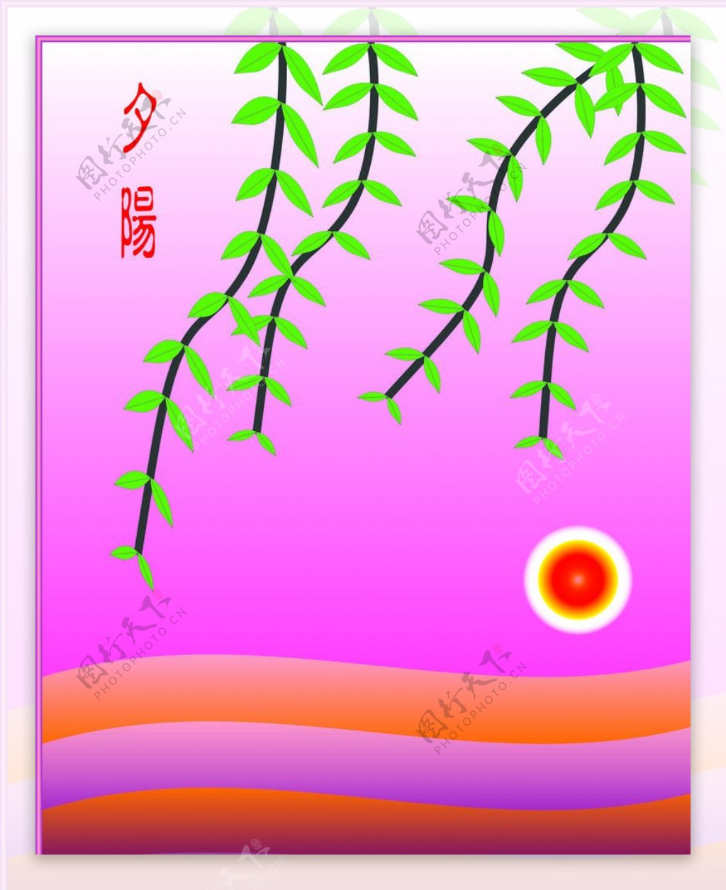 太阳柳树图片