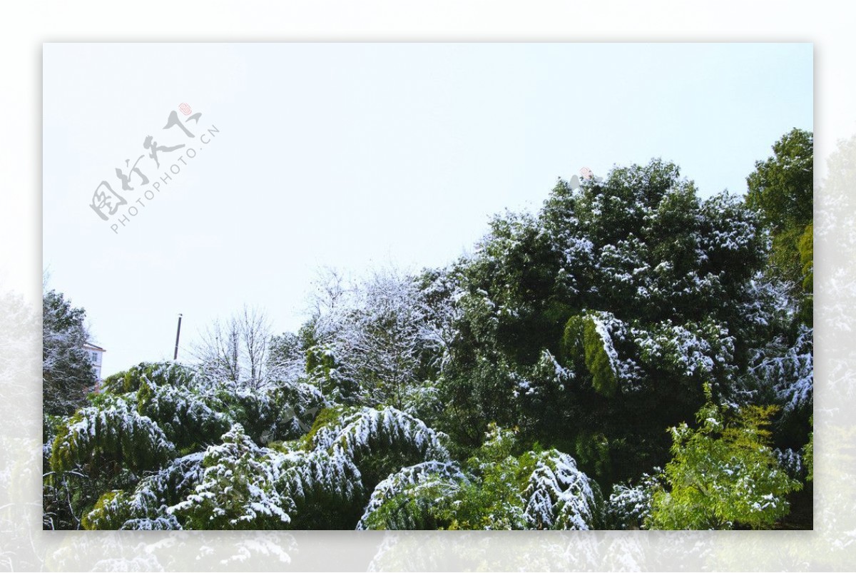 雪景图片