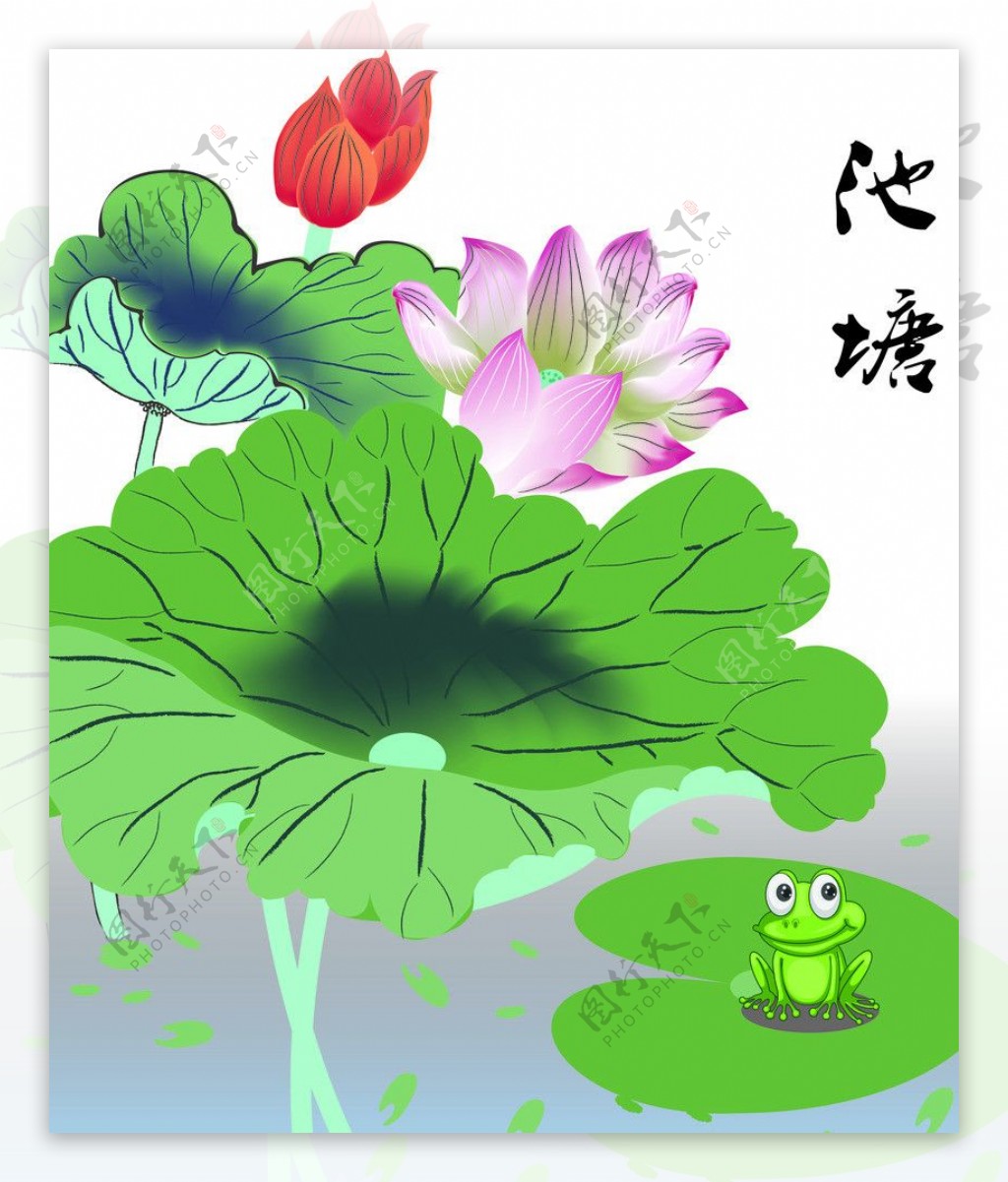 池塘荷叶上的青蛙呱呱呱-带手绘视频过程|插画|儿童插画|yoyooo - 原创作品 - 站酷 (ZCOOL)