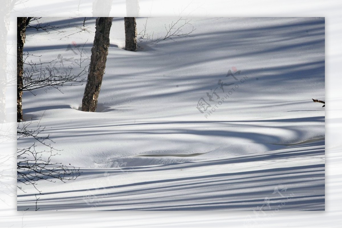 长白山雪影图片