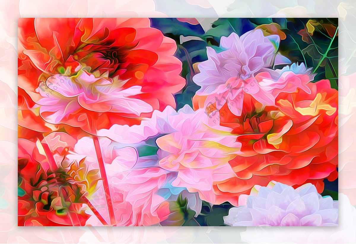 抽象花卉图片