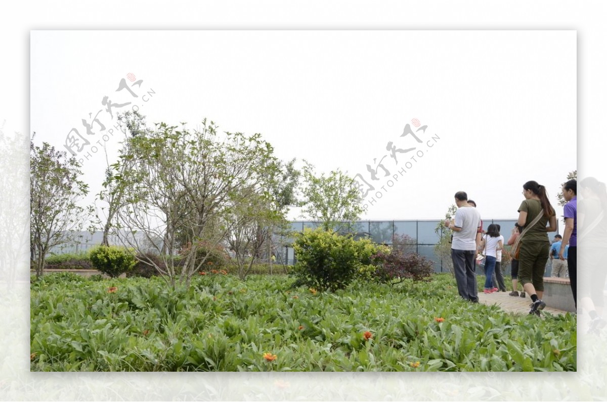 屋顶花园图片