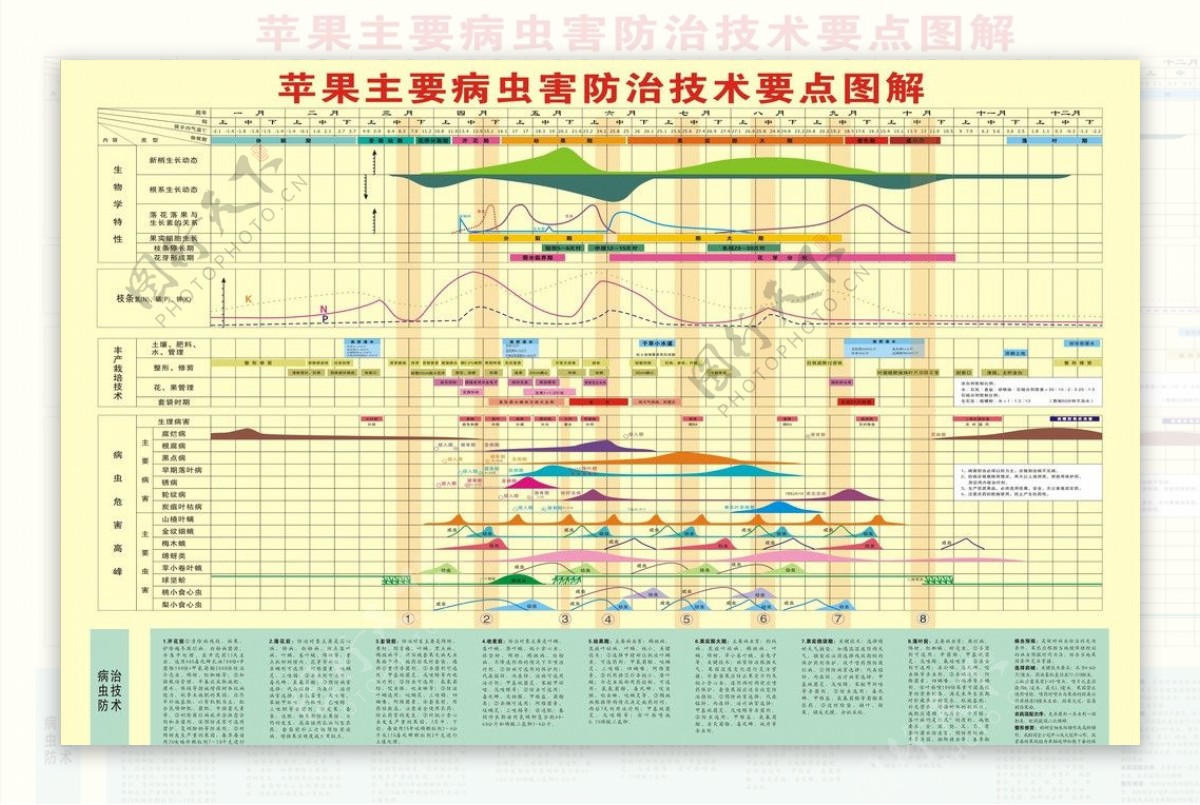 苹果主要病虫害防治技图片