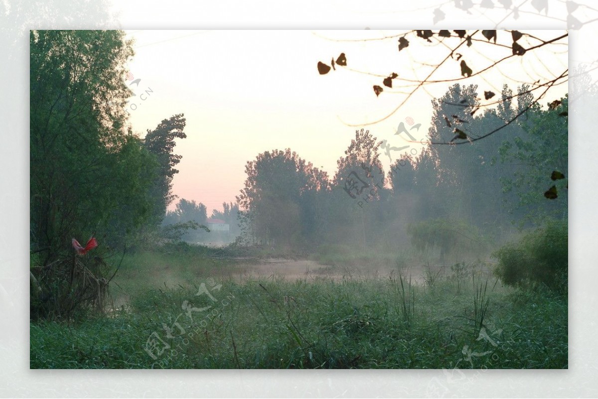 秋日湿地的晨雾图片