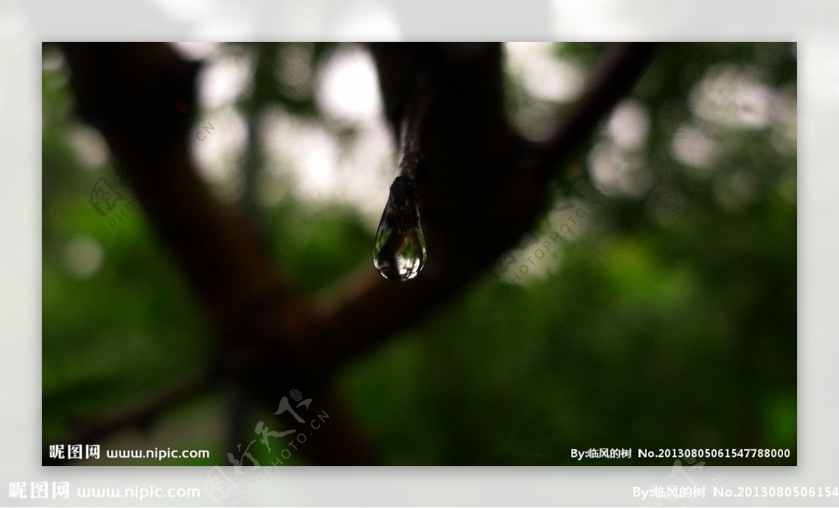 闫玫的雨滴图片