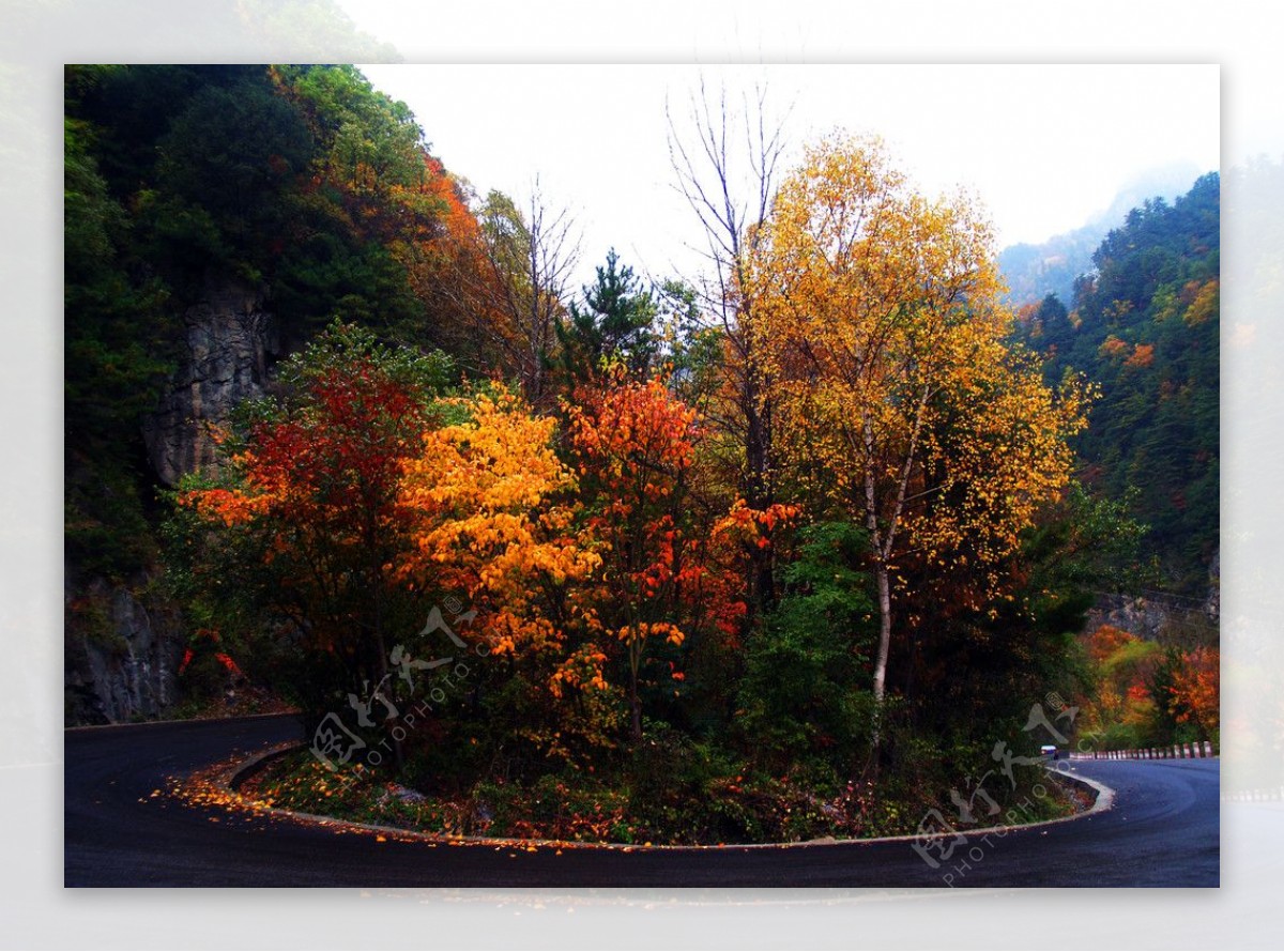 黄柏塬公路秋景图片