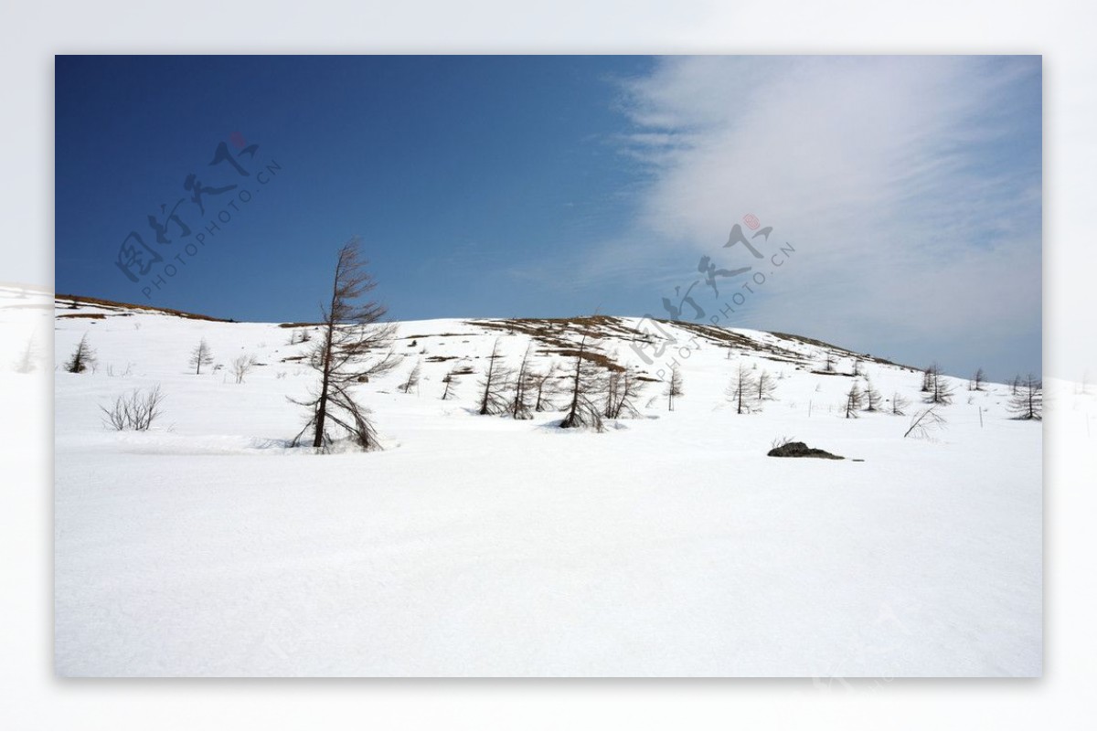 雪地景观图片