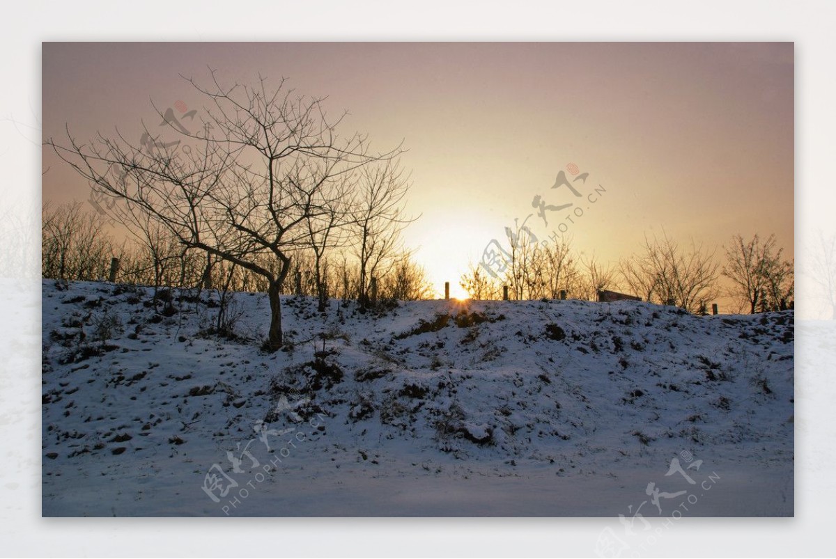 白雪与朝阳图片