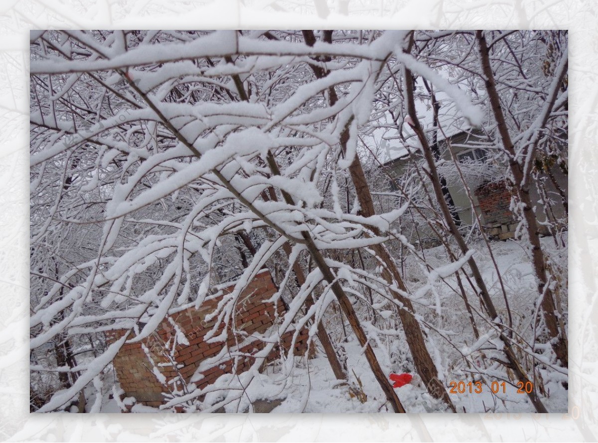 大雪后图片