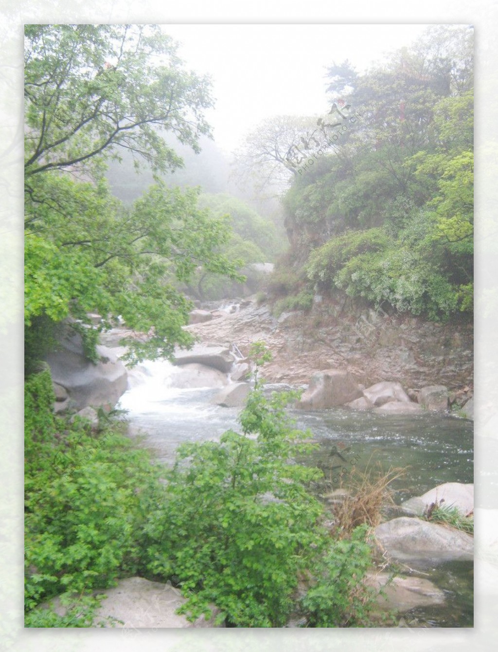 雨中的崂山北九水图片