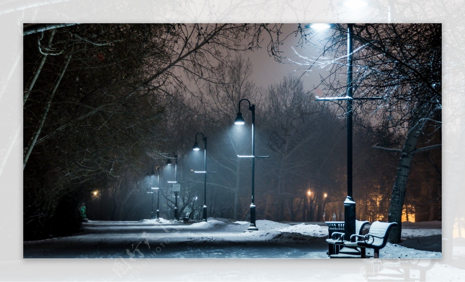 夜晚路灯下雪景图片