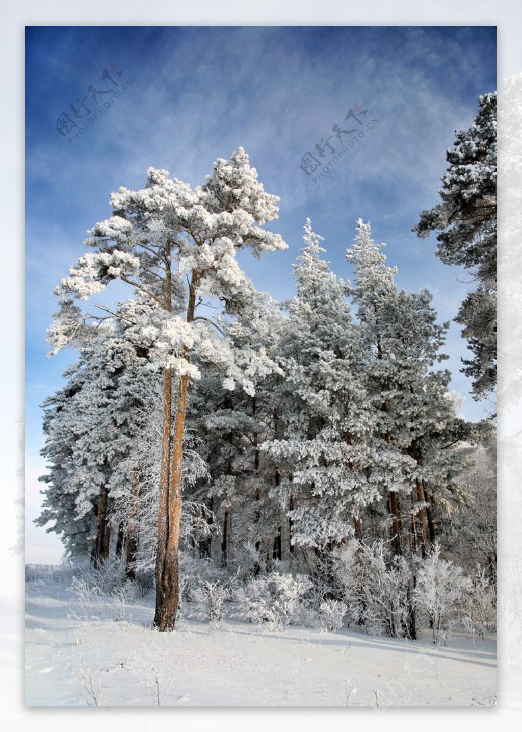 冬季雪景图片