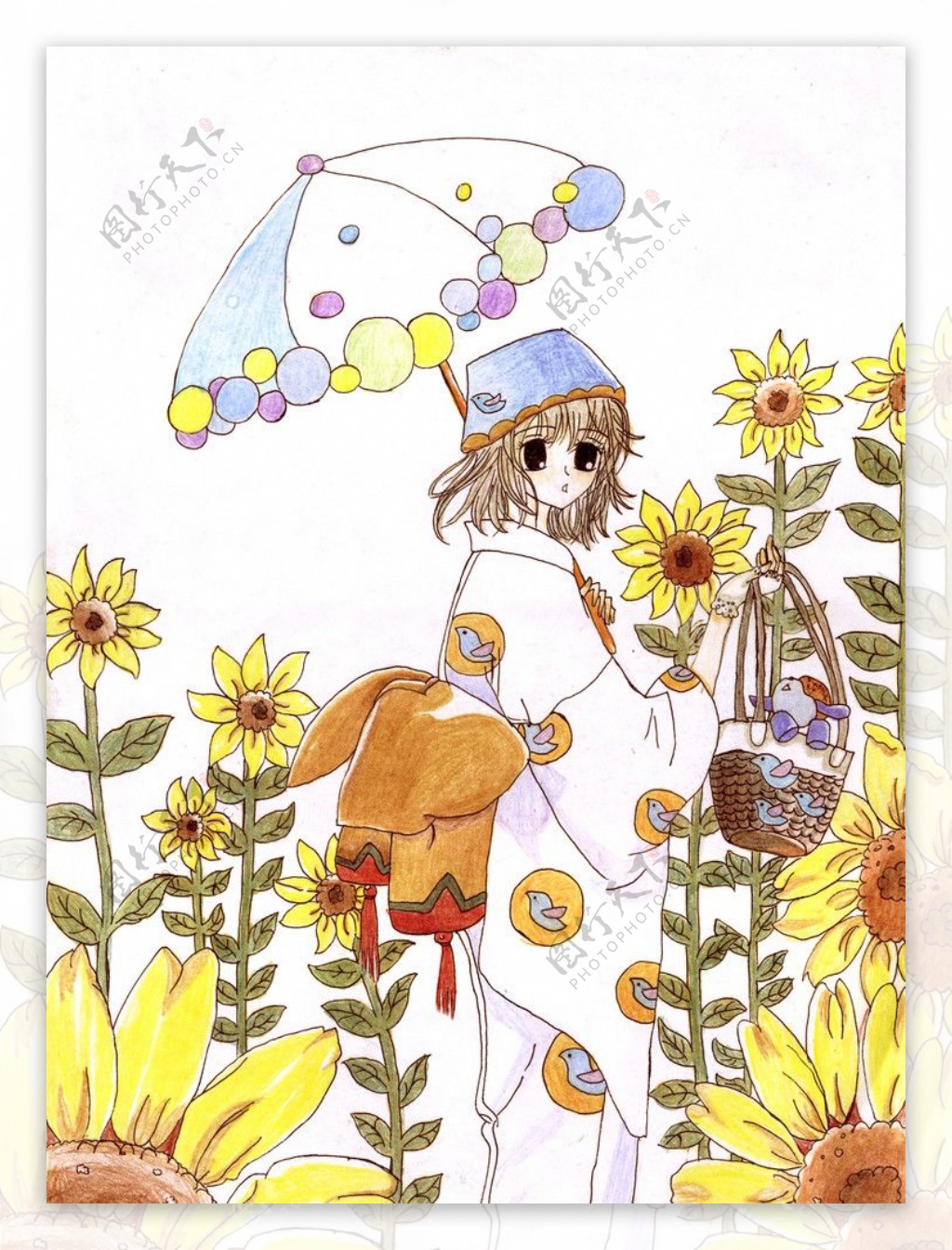 菊花花伞少女图片