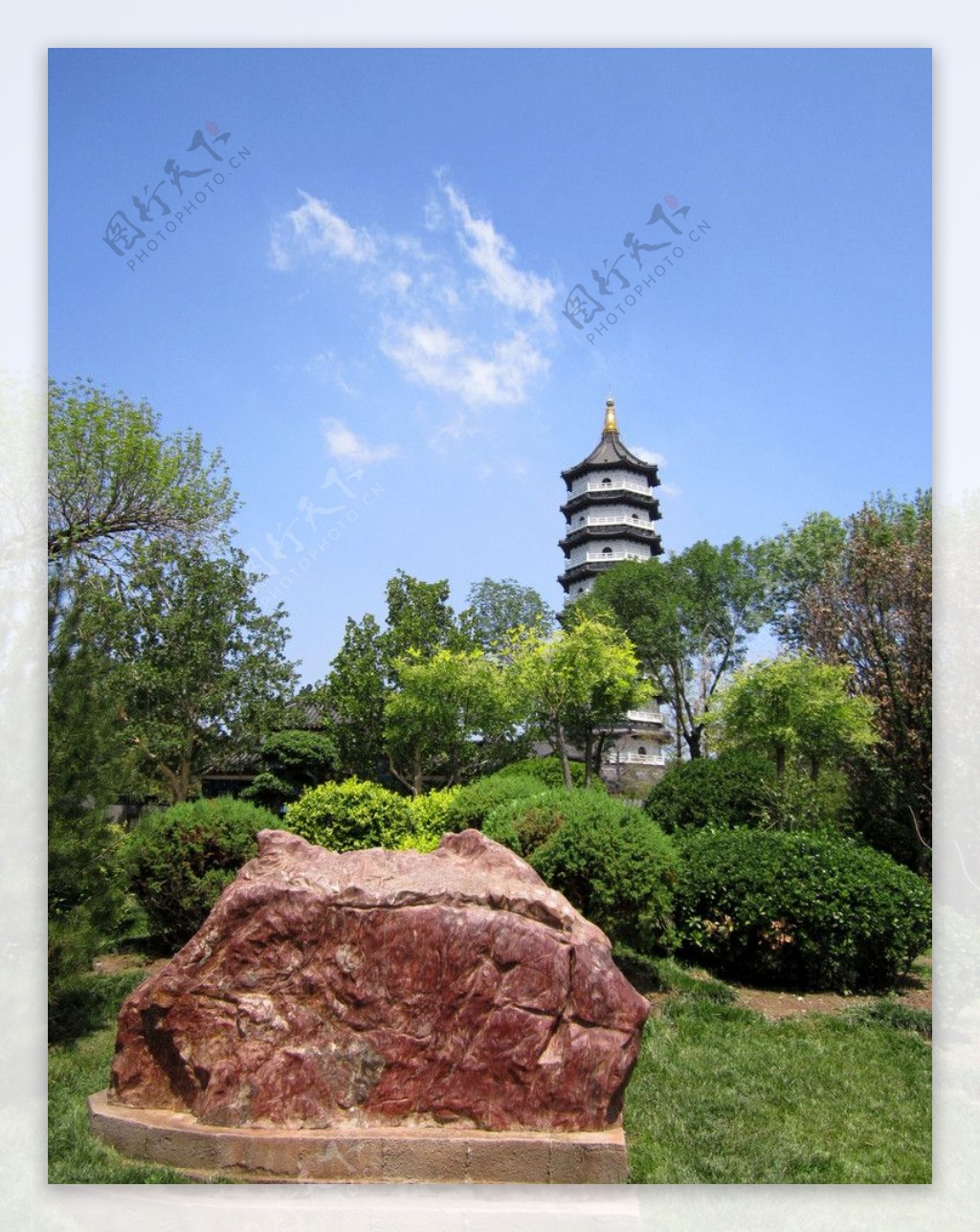 宝塔树林风景图片