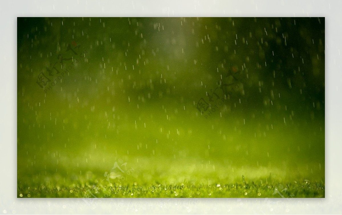 绿色雨水背景图片