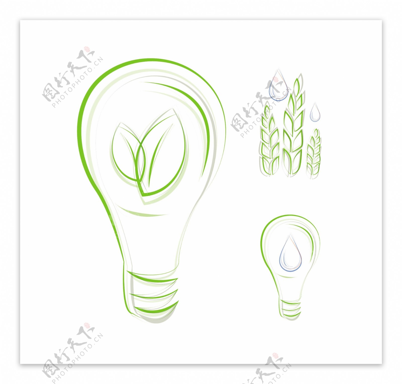绿色灯泡麦穗图片