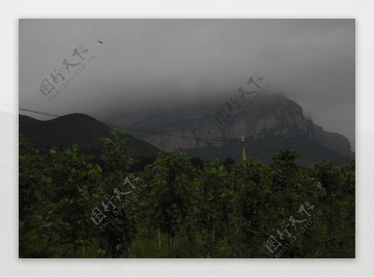 雨后风景图片